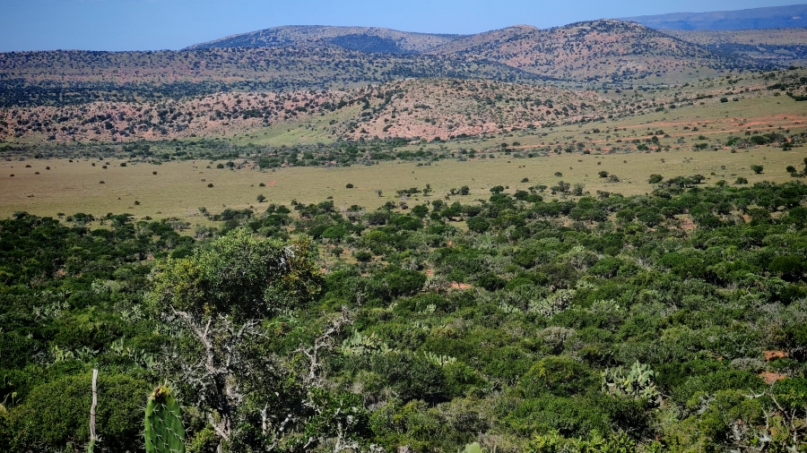 0 Bedroom Property for Sale in Somerset East Rural Eastern Cape